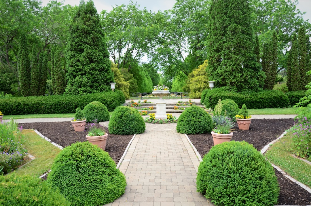 why-choose-us Flowers and greenery at the Garden Center