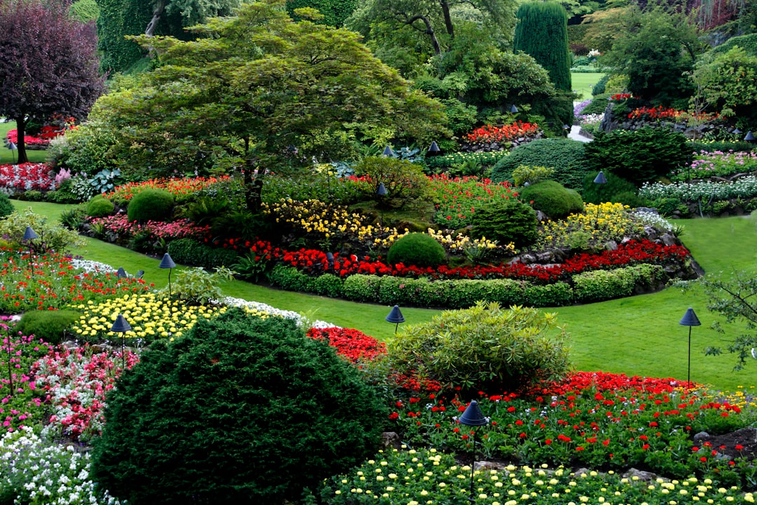 portfolio-04 This was the view of Bushart Gardens in Victoria, BC, Canada in July from a hill.