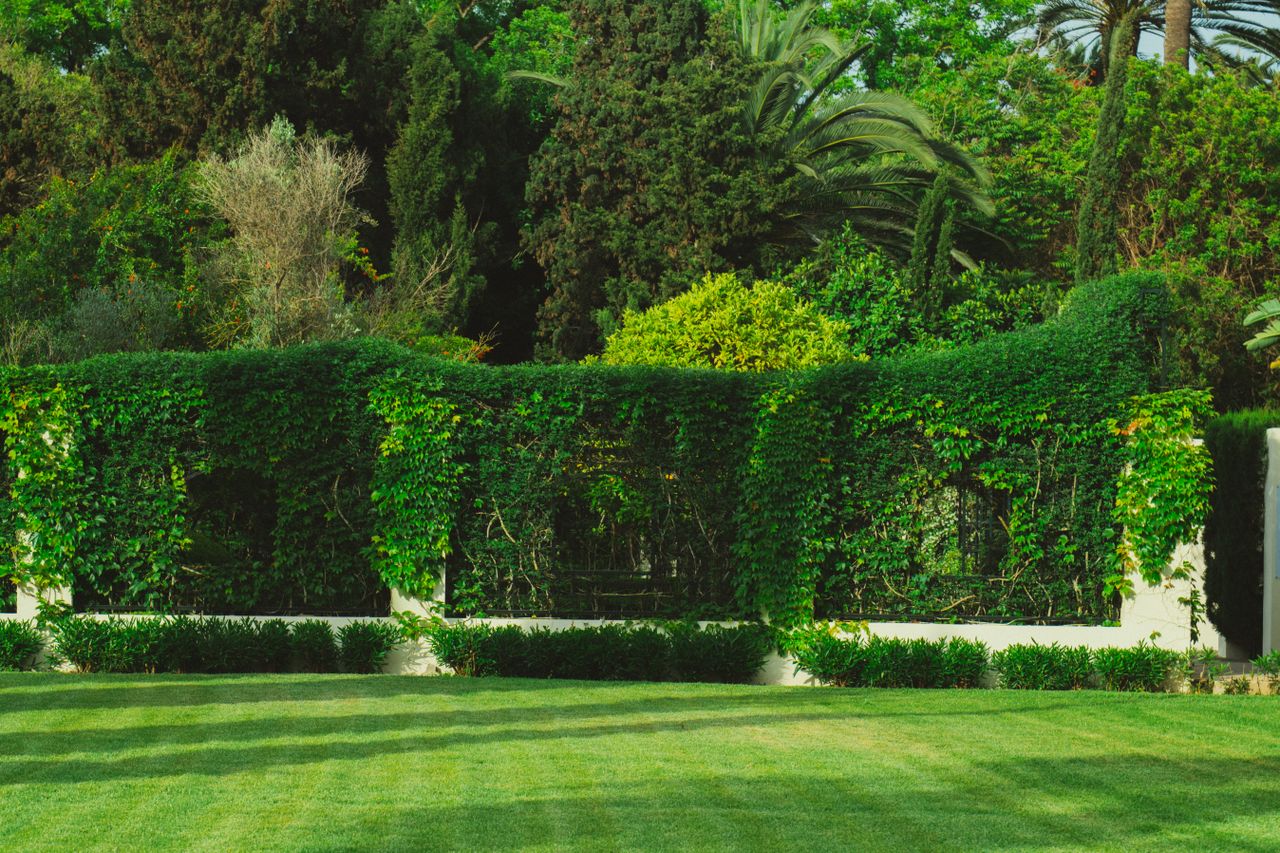 Crafting Captivating Headlines: Your awesome post title goes here Vibrant garden scene featuring dense greenery and a perfectly maintained lawn.